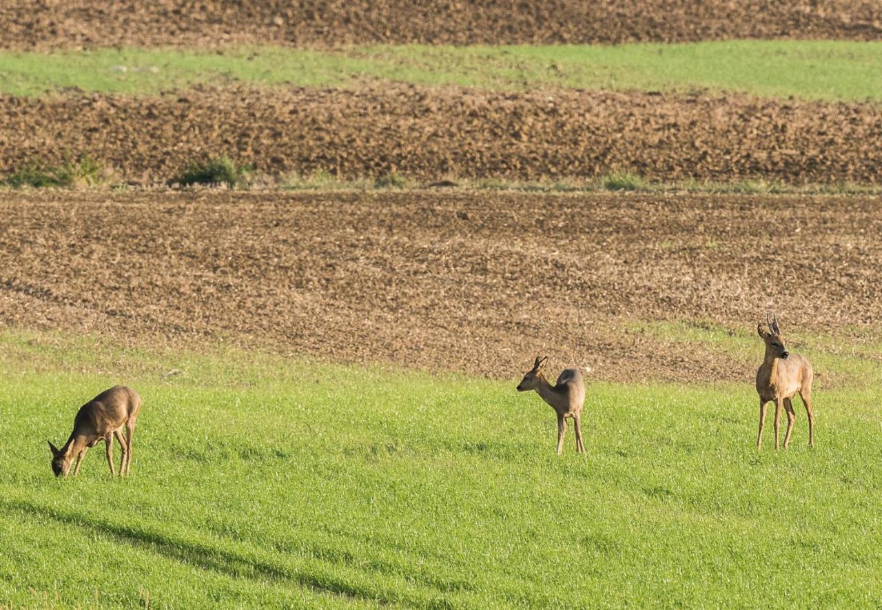 Chatrou Chatelraould-Saint-Louvent Bagian luar foto