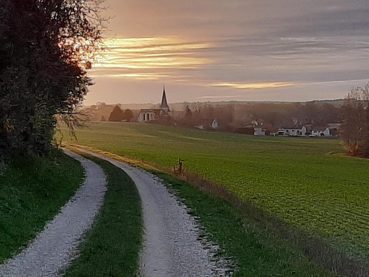 Chatrou Chatelraould-Saint-Louvent Bagian luar foto