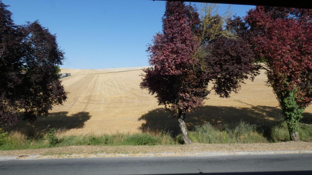 Chatrou Chatelraould-Saint-Louvent Bagian luar foto